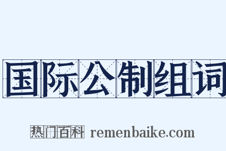 国际公制组词是什么意思的图片